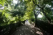 تبدیل باغات تهران به پارک‌ عمومی