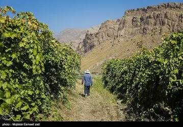 image12
