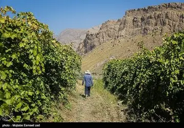 image12