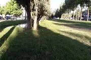 کمبود سرانه فضای سبز در برخی مناطق پایتخت