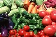 میوه‌های زمستانی ۱۰ تا ۱۵ درصد ارزان شدند