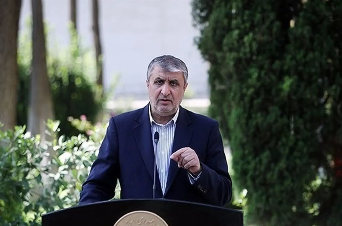 اسلامی: فعالیت اعلامنشده هستهای نداریم