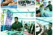 عرضه دام بهداشتی در ضلع جنوبی مجموعه چهل‌سرا