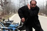 موردعجیب قاچاق «خرس»؛ تهیه‌کننده و پخش‌کننده یکدیگر را متهم کردند!
