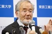 کشف دانشمند ژاپنی؛ “روزه‌داری” باعث از بین رفتن سلول‌های معیوب و سرطانی