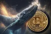 نهنگ بیت‌کوین چگونه متوقف شد؟
