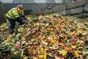 روزی ۲۰ تُن میوه در این شهر ایران به زباله تبدیل می‌شود