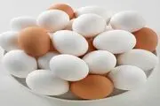 مضرات این مواد غذایی پس از انقضای تاریخ مصرف+ جزئیات