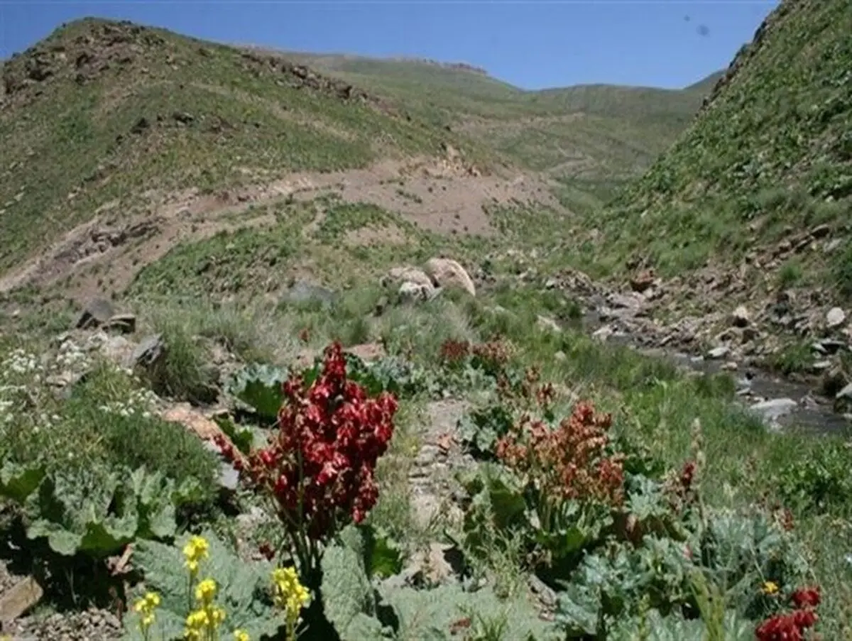 
مستند «اقلیم» نوروز ۹۸ به روی آنتن شبکه 3