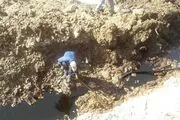 
آخرین خبرها از علت حفاری شبانه در امامزاده عبدالله(ع)‌
