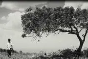 یک فیلم کودک در راه آلبانی
