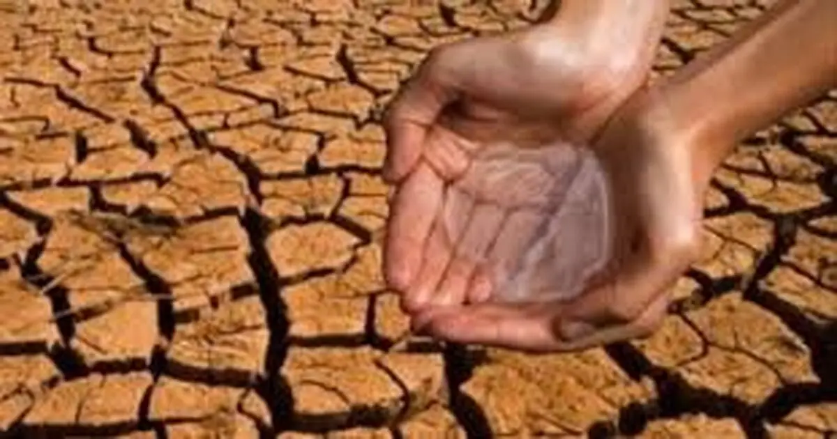 هامون تا گاوخونی به خشکی کامل رسیدند