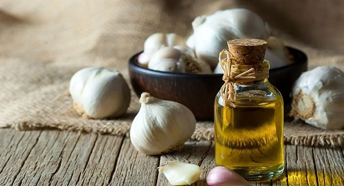 فواید شگفت انگیز روغن سیر در طب سنتی