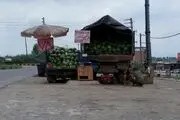 
گارانتی 48 ساعته میوه+تصویر
