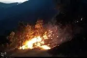 آتش‌سوزی در کمین عرصه‌های جنگلی استان گیلان است 