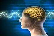 کدام خوراکی‌ها برای بیماری‌های مغز و اعصاب مناسب است؟