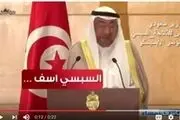 واکنش «سامح شکری» به اظهارات دبیر کل سازمان همکاری اسلامی