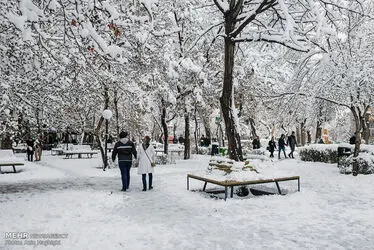 برف بهاری در تبریز