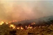 آتش‌سوزی بخشی از مراتع بخش لاریجان را در بر گرفت