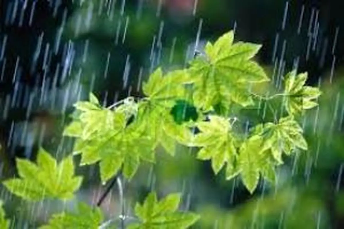 خوزستان
میزبان موج جدید بارش ها