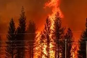 تخلیه اجباری مناطق مختلف کالیفرنیا به علت آتش‌سوزی +عکس