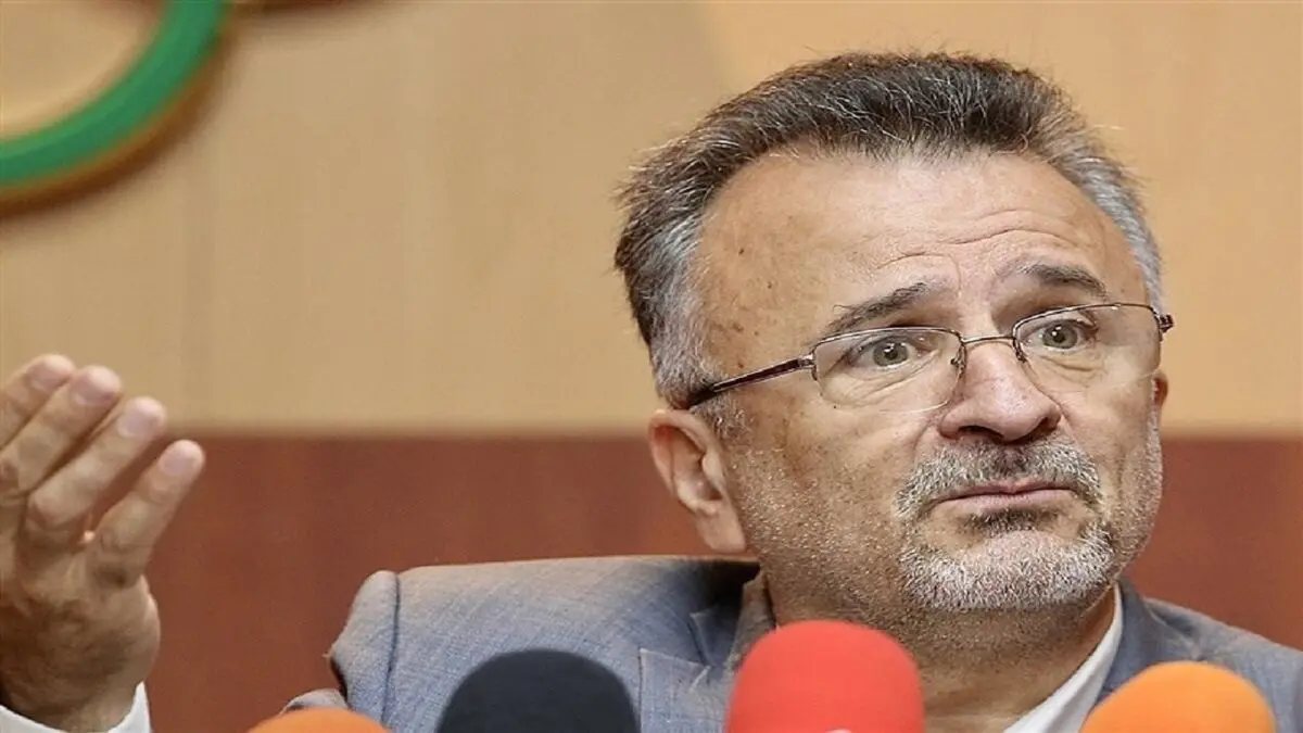 داورزنی: تیم والیبال ایران باید همیشه در المپیک باشد
