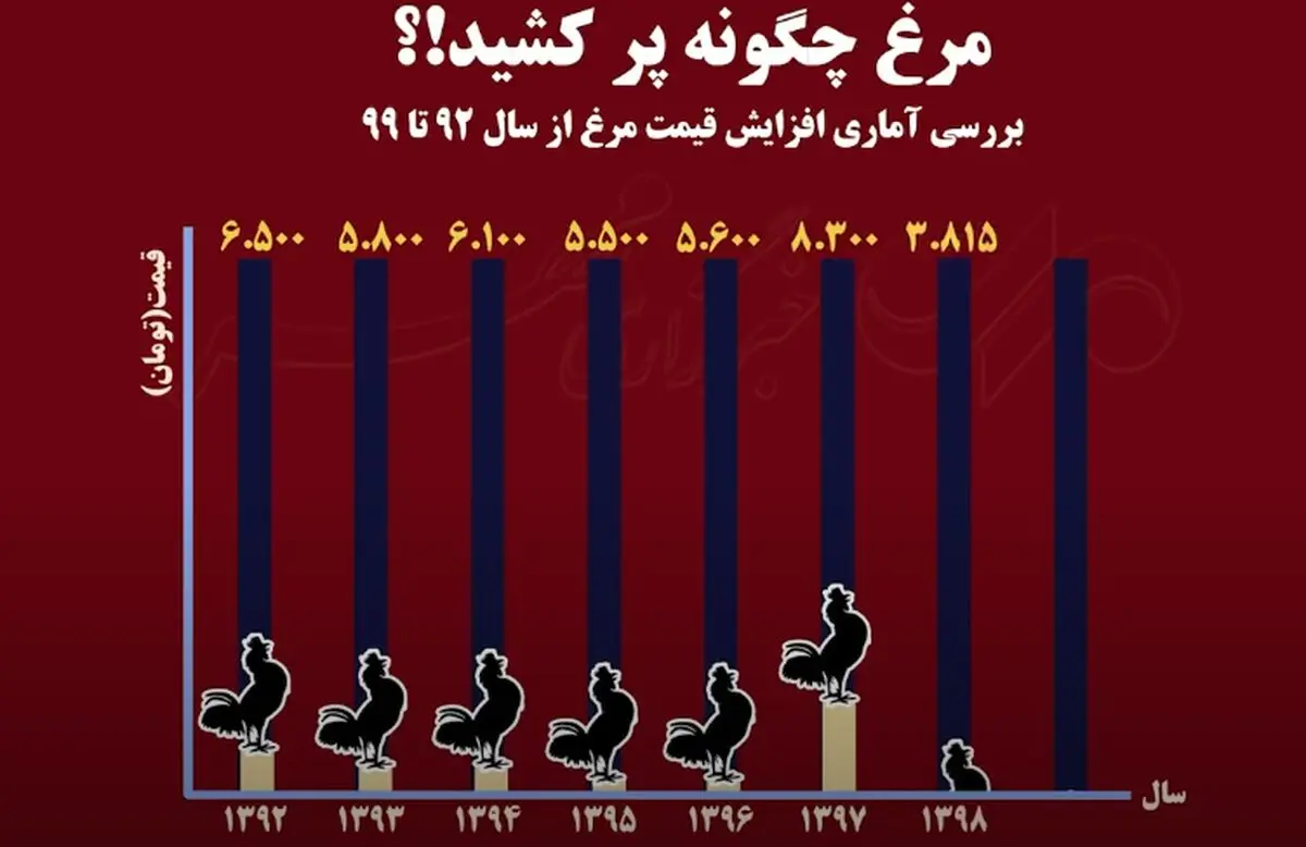 آمار گران شدن مرغ در دولت حسن روحانی/ موشن گرافیک