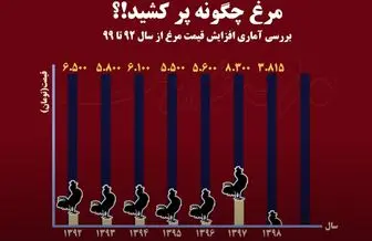 آمار گران شدن مرغ در دولت حسن روحانی/ موشن گرافیک