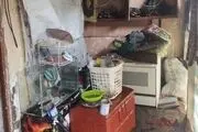 
شمع سفره هفت‌سین در اردبیل حادثه آفرید
