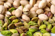 زمان برداشت پسته در مناطق مرکزی، جنوب و شمال شرق کشور 