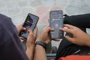 قیمت همستر کامبت چه روزی اعلام می‌شود؟
