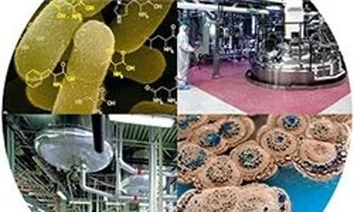 اعطاء تسهیلات 35 میلیونی برای پژوهشگران