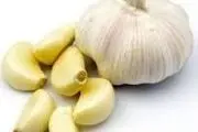 سیر تازه یا موسیر، کدام خاصیت بیشتری دارد؟