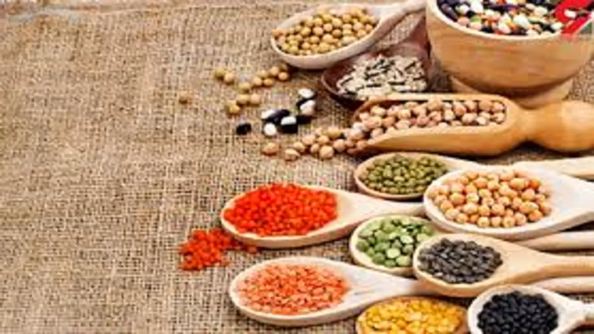 فهرست قیمت انواع حبوبات در میادین میوه و تره بار