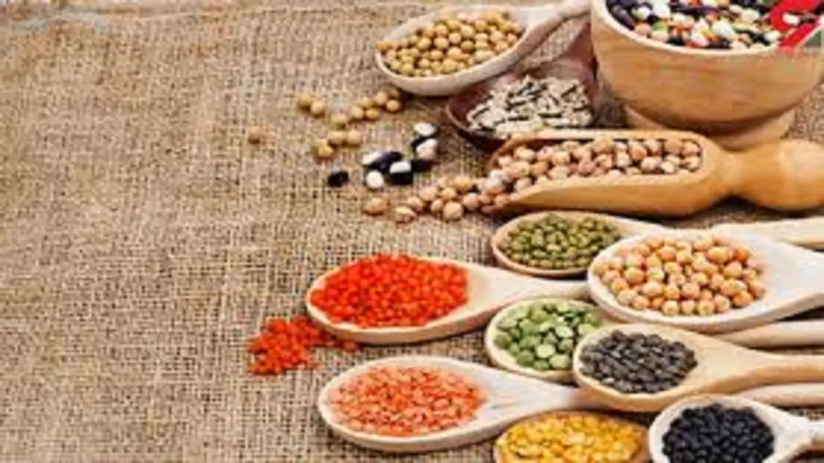 فهرست قیمت انواع حبوبات در میادین میوه و تره بار 
