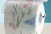 مهندسان بهداشت چه کسانی هستند؟ + عکس