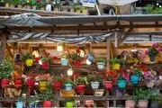ماسوله نگین گردشگری ایران/ گزارش تصویری 