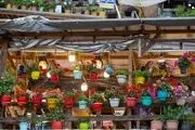 ماسوله نگین گردشگری ایران/ گزارش تصویری 