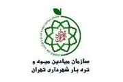 تغییر ساعت کاری میادین و بازارهای میوه و تره‌بار برای نیمه دوم سال 