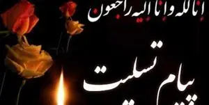 صدور پیام تسلیت نیروی انتظامی در پی درگذشت آیت الله هاشمی شاهرودی
