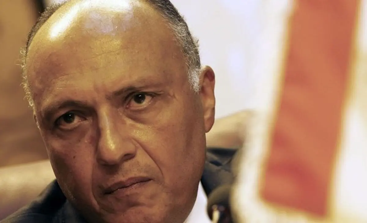 مصر: اردوغان نمی‌داند چگونه سخن بگوید