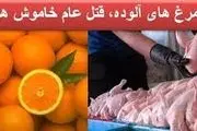 آیا پرتقالها و مرغها آلوده و سرطانزا هستند؟