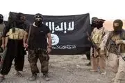  ثمره خصم/ کلیپ(+18)