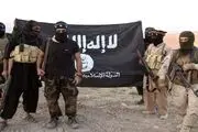  ثمره خصم/ کلیپ(+18)