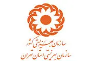 مددکاران اجتماعی روشنی بخش خانه‌ها هستند
