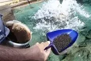 اولین دستگاه تولید خوراک آبزیان با مهندسی معکوس در کشور