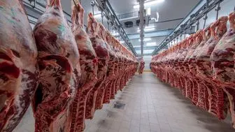 چین خرید گوشت از برزیل را به دلیل آلودگی ممنوع کرد