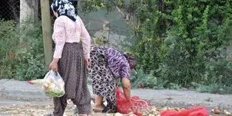 سوء تغذیه بیش از 14 میلیون نفر در ترکیه 