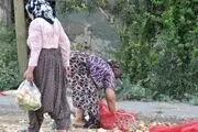 سوء تغذیه بیش از 14 میلیون نفر در ترکیه 