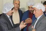 کهگیلویه و بویراحمد نخستین تولیدکننده نان حجیم بلوط در خاورمیانه